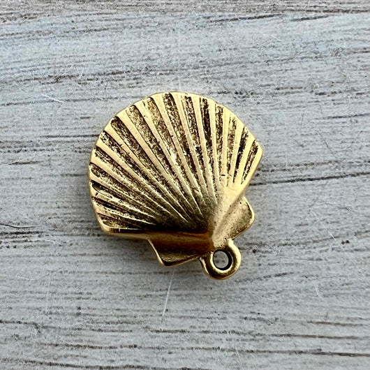 Seashell Charm, Simple Antiqued Gold Jewelry Making Findings, Carson's Cove, GL-6285