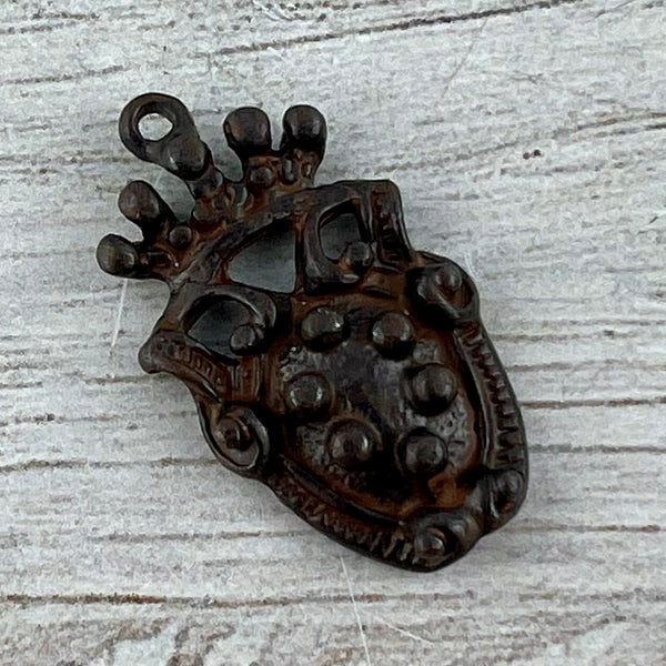 Load image into Gallery viewer, Old World Dotted Shield Medallion Charm, Antiqued Rustic Brown Crown Pendant, Jewelry Findings, BR-6300
