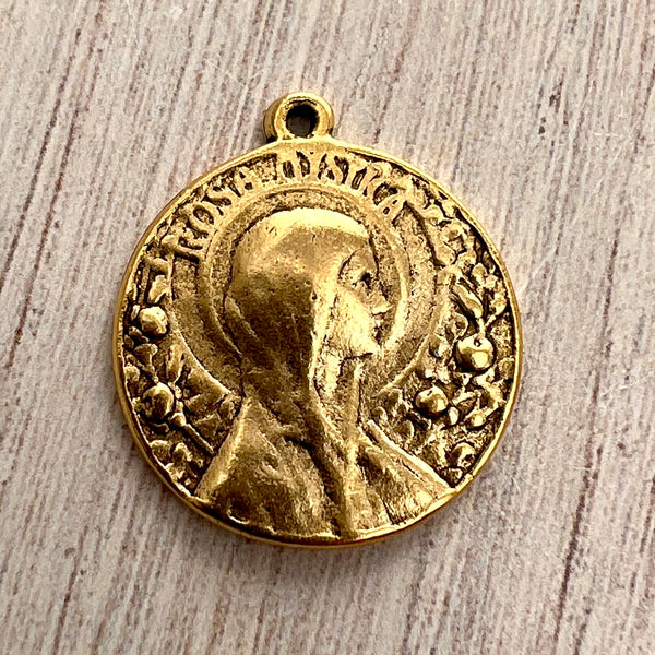 Load image into Gallery viewer, Rosa Mystica Mary Medal, Art Nouveau Medal, Antiqued Gold Religious Jewelry Making Charm Pendant, Catholic Jewelry, GL-6246
